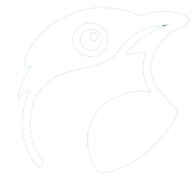 Birdd Logo